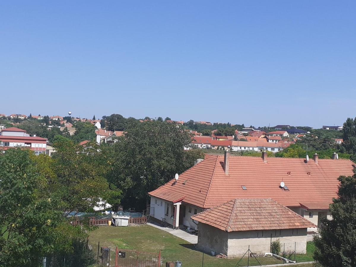 Valen Apartmany Valtice Rum bild
